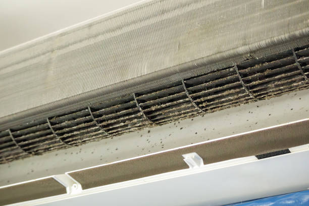 Best Ventilation Cleaning Services  in Thayer, MO